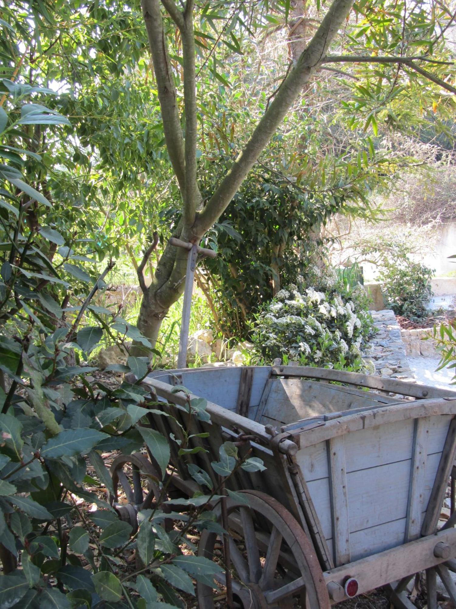 Les Rosées Mougins Esterno foto