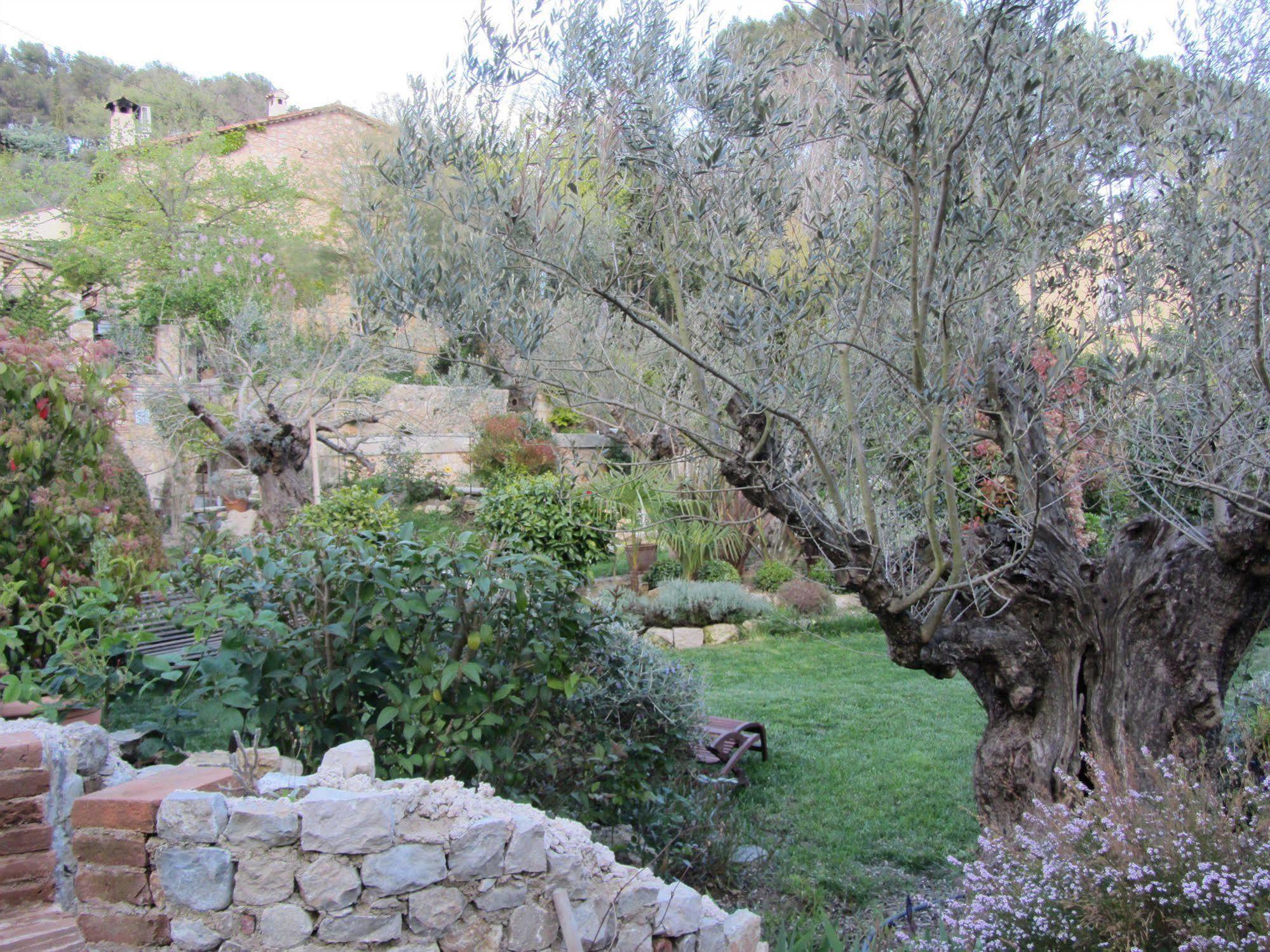 Les Rosées Mougins Esterno foto